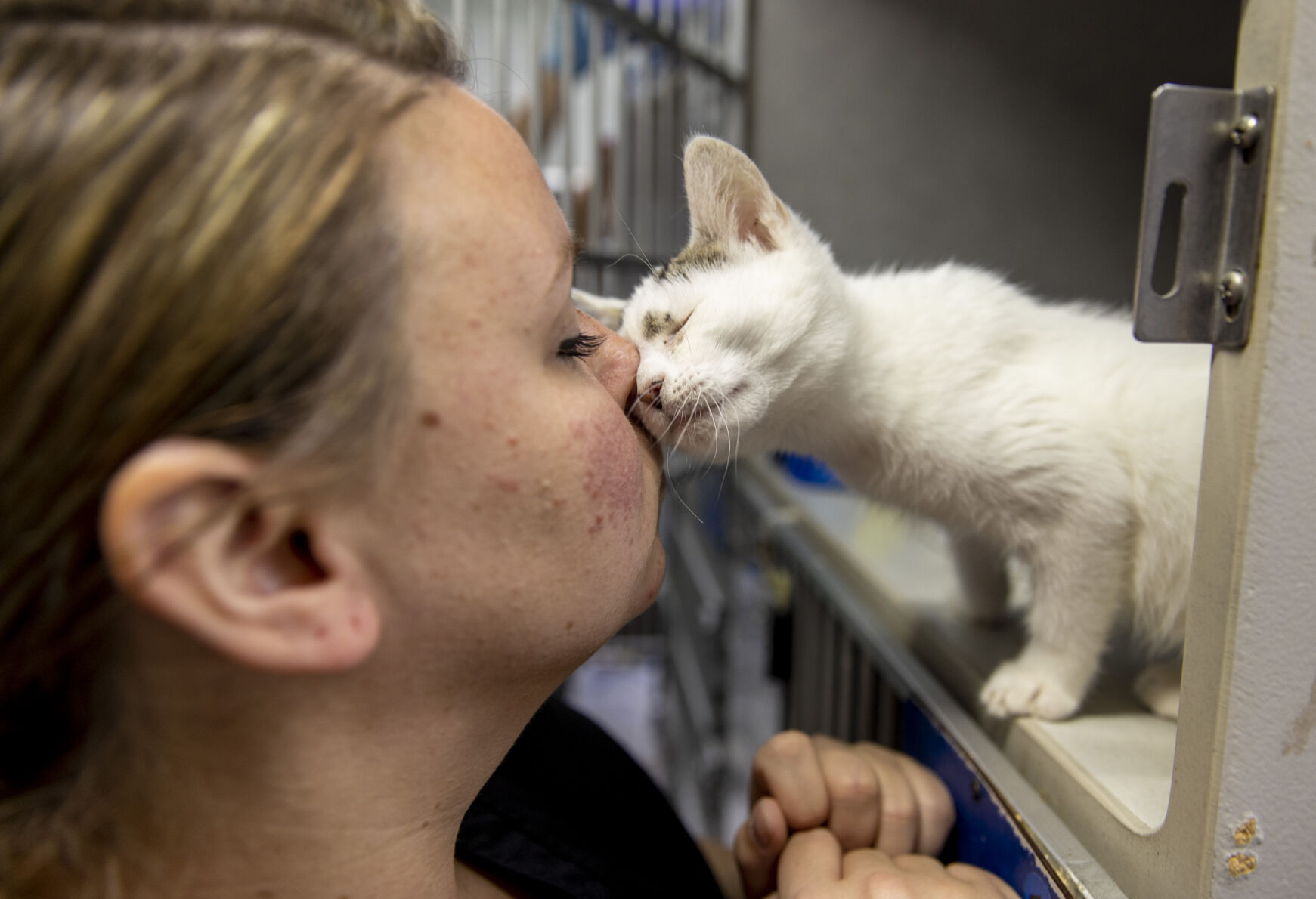 dorchester paws PRINT third.JPG